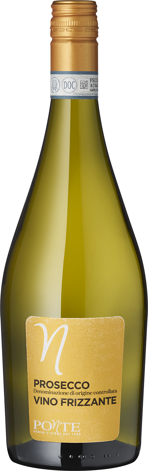 Prosecco Vino Frizzante D.O.C. Prosecco Wein Flasche, italienischer Frizzante, Weißwein kaufen