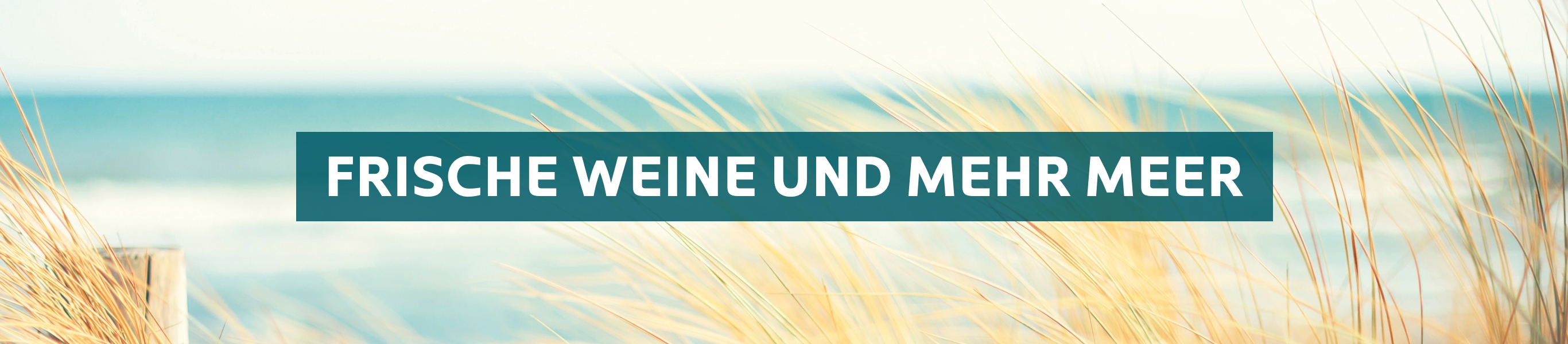 Frische Weine und Meer: Sommerliche Wein-Auswahl Frische Weine und Meer: Sommerliche Wein-Auswahl