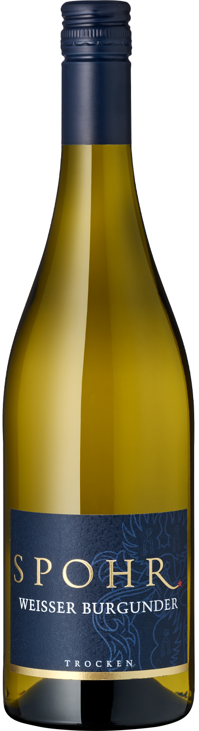 Weisser Burgunder Weißburgunder Trocken Wein von Spohr, Flasche stehend.