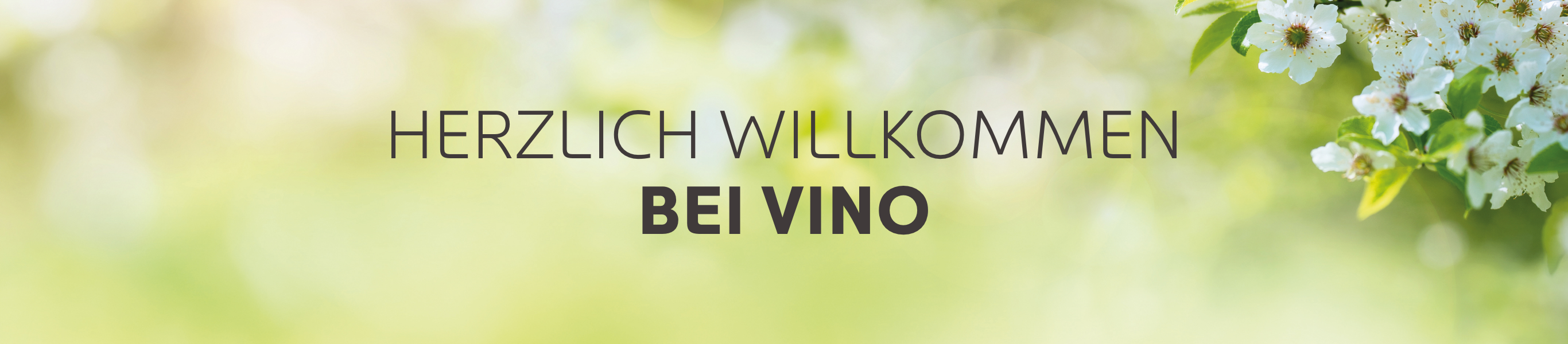 Herzlich Willkommen bei VINO, Wein Online Shop Herzlich Willkommen bei VINO, Wein Online Shop