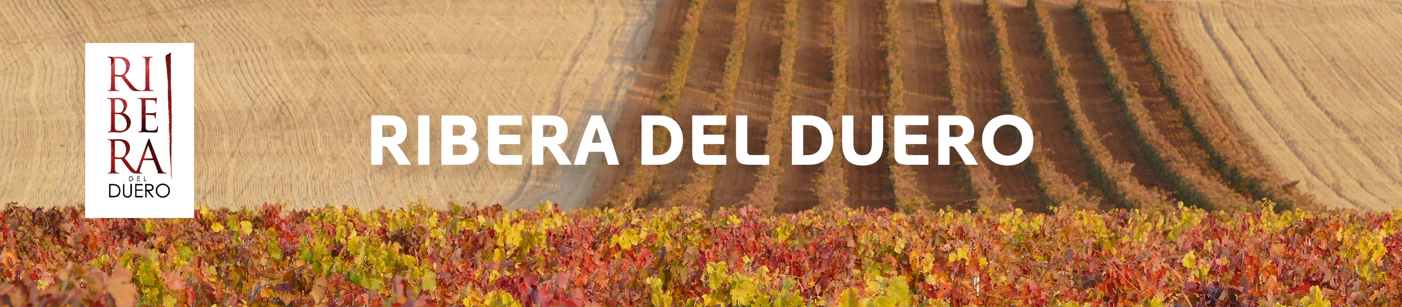 lp_ribera_del_duero-2 Weinberge in Ribera del Duero Weinanbaugebiet, Herbst
