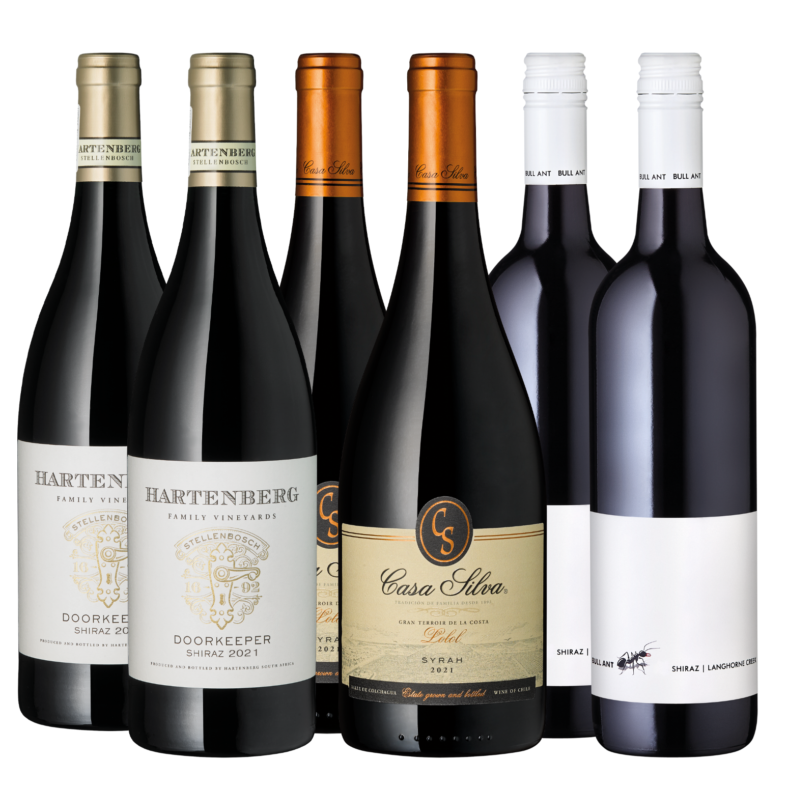 6er Paket Shiraz