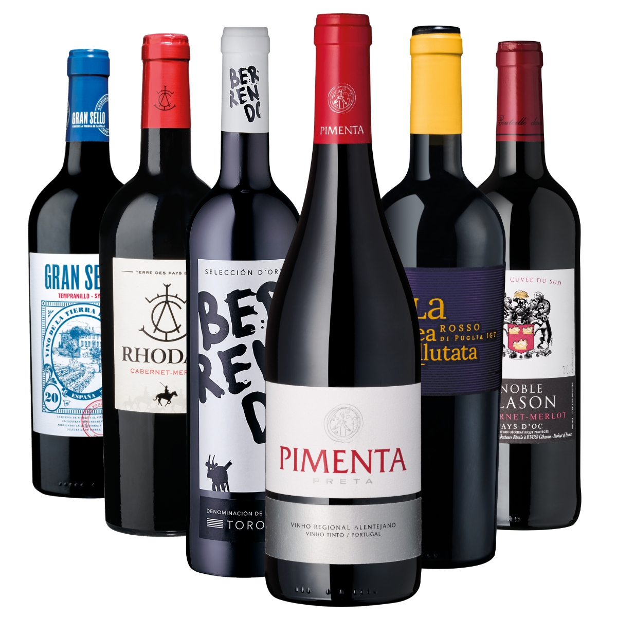 Auswahl an Rotwein Flaschen, Weinsortiment im Shop