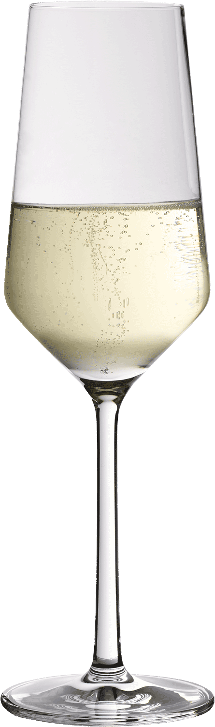 Schott - Pure Champagnerglas 2er Set