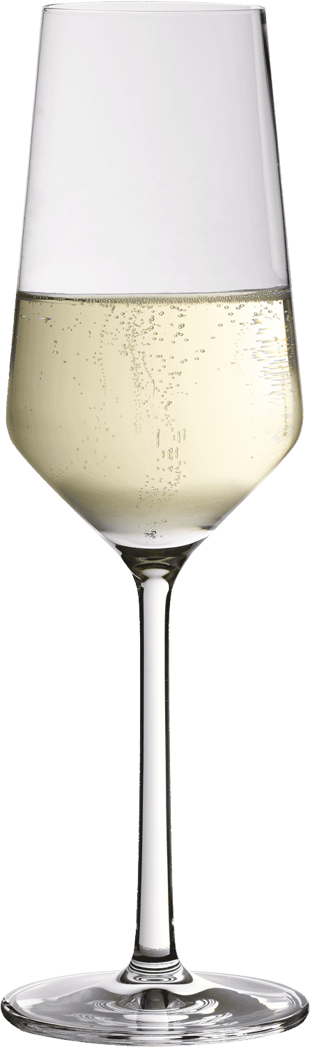 Glas Sekt, gefüllt mit prickelndem Schaumwein, nahaufnahme