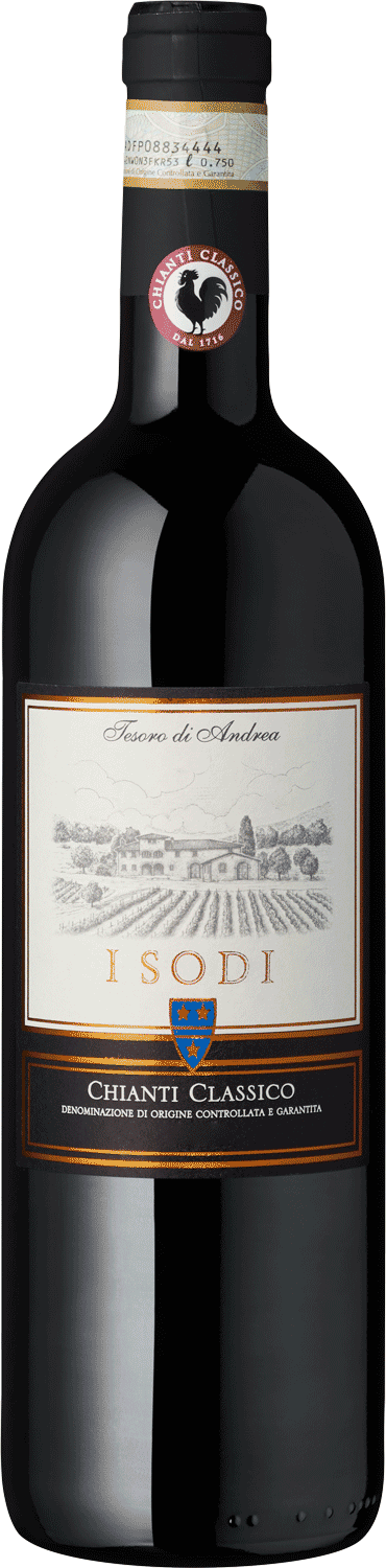 Chianti Classico Isodi Chianti Classico Rotwein Flasche, italienischer Wein