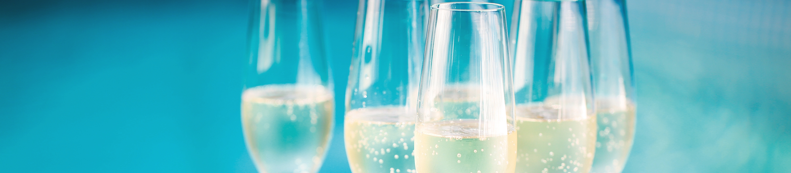 Sektgläser gefüllt mit prickelndem Wein, nah aufgenommen.