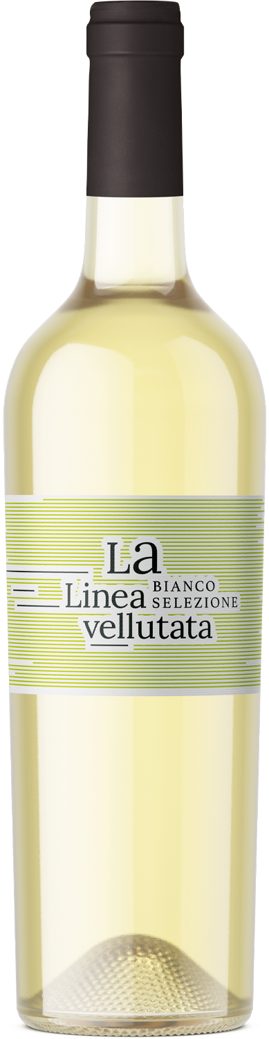 "La Linea Vellutata" Bianco Selezione