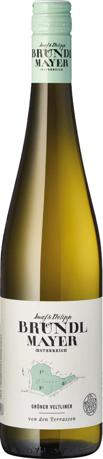 Grüner Veltliner, Terrassen Alte Reben Grüner Veltliner von den Terrassen, Bründl Mayer, Österreich