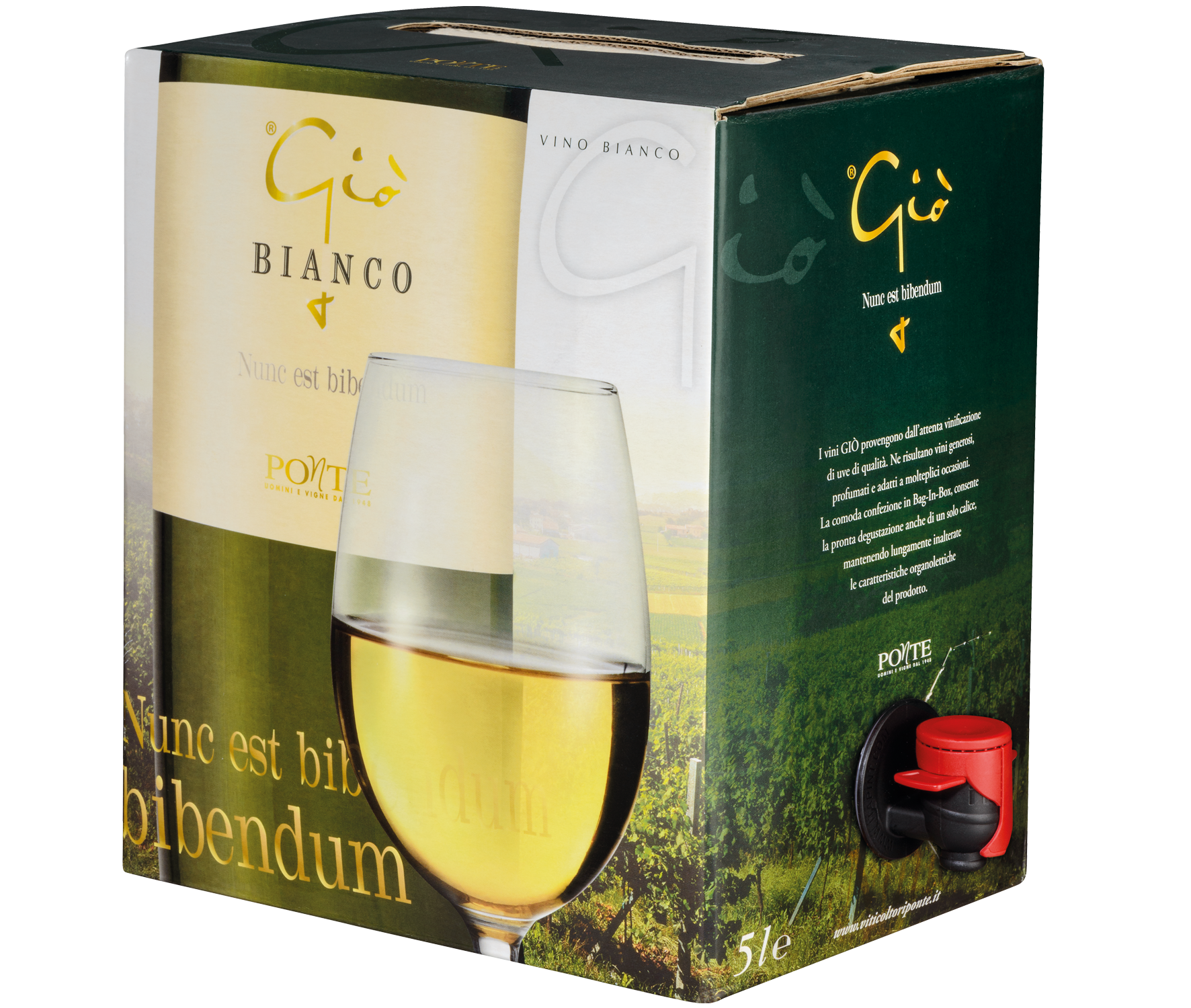 Chardonnay, BiB Giò Bianco Wein im Bag-in-Box, 5 Liter, Weinkaraffe