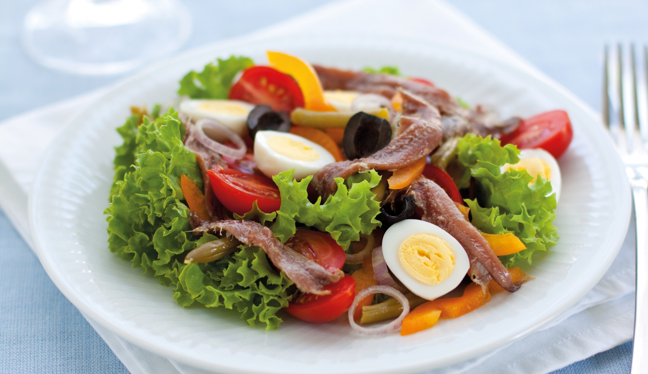 Nicoise-Salat mit Sardellen und Oliven Mediterraner Salat mit Wein Empfehlung für den Gaumen