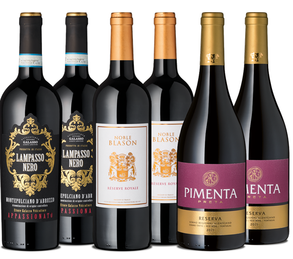 Exklusives Festtags-Weinpaket Auswahl an verschiedenen Rotweinflaschen im Wein Shop