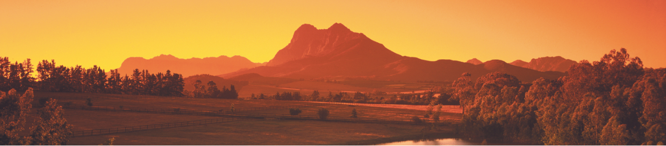 Weinberglandschaft im Sonnenuntergang, Weinanbaugebiet Weinberglandschaft im Sonnenuntergang, Weinanbaugebiet