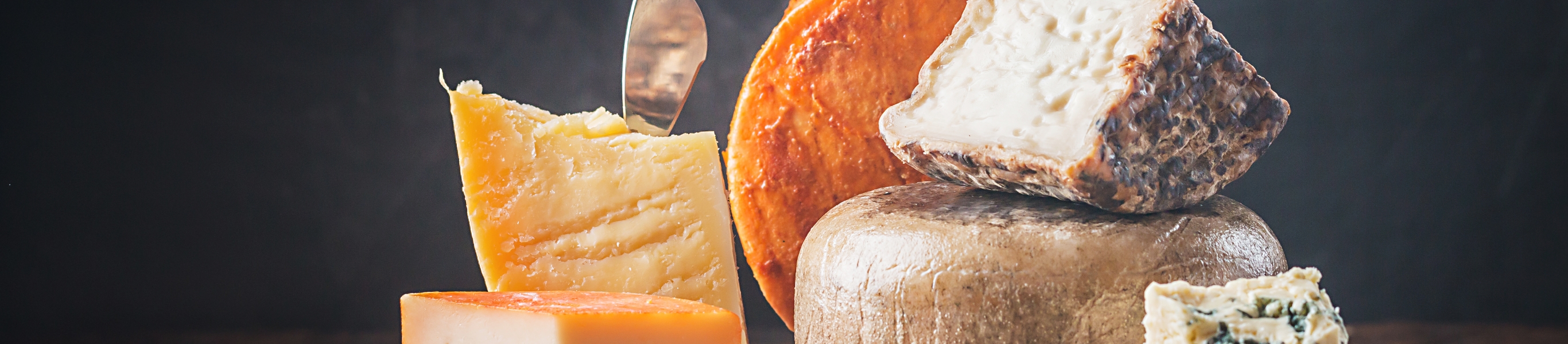 Bereits ausgebucht: Wein & Käse Käseauswahl für Wein: perfekt zu kombinieren!